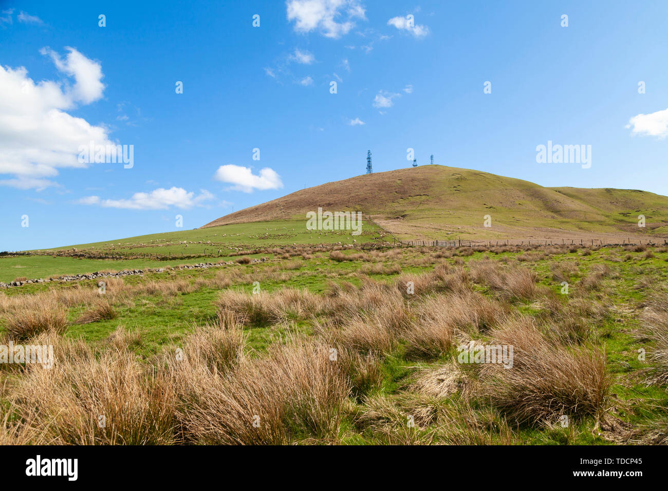 Vista panoramica di Knock Hill da Nord Ovest, Fife Scozia. Foto Stock