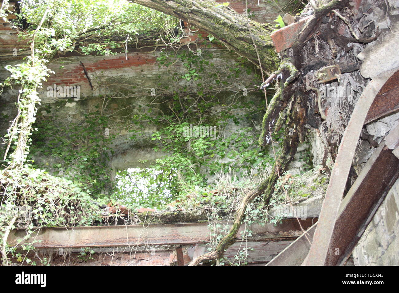 La natura e il verde a cogliere e coperchio antico dimenticato medievali ed edifici militari. edifici secolari ora persi nella memoria della foresta e il Foto Stock