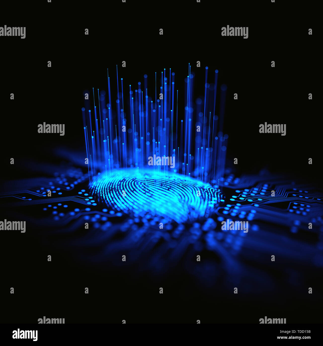 Impronta digitale, illustrazione concettuale Foto Stock