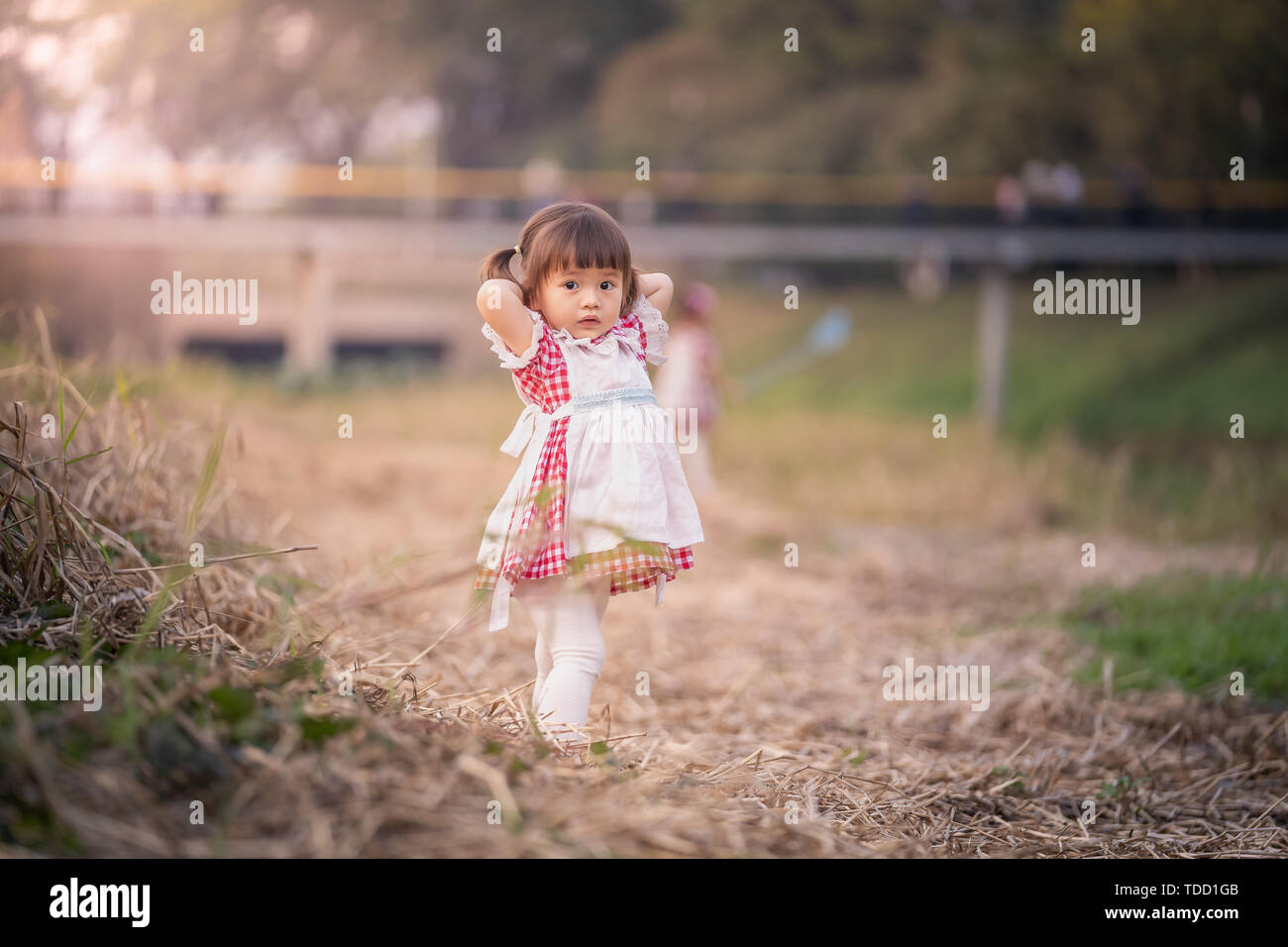 Gonna Scozzese Rossa Immagini e Fotos Stock - Alamy