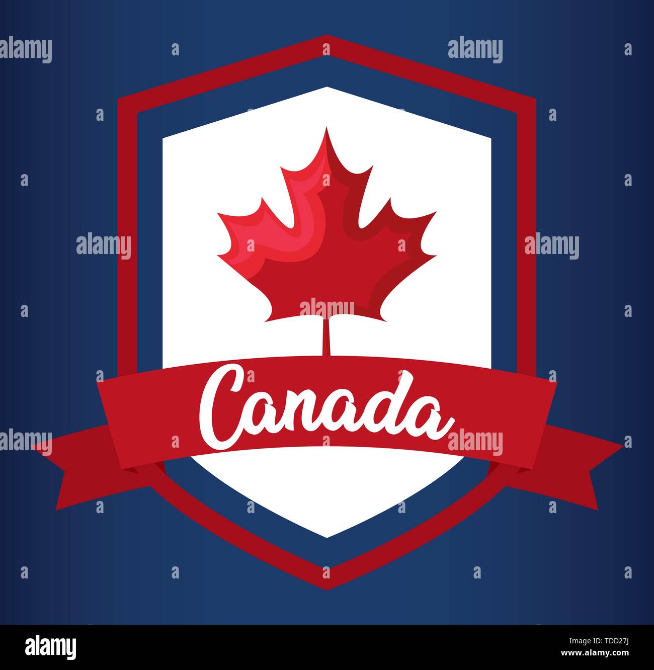 Protezione con una foglia di acero per canada giorno illustrazione vettoriale design Illustrazione Vettoriale