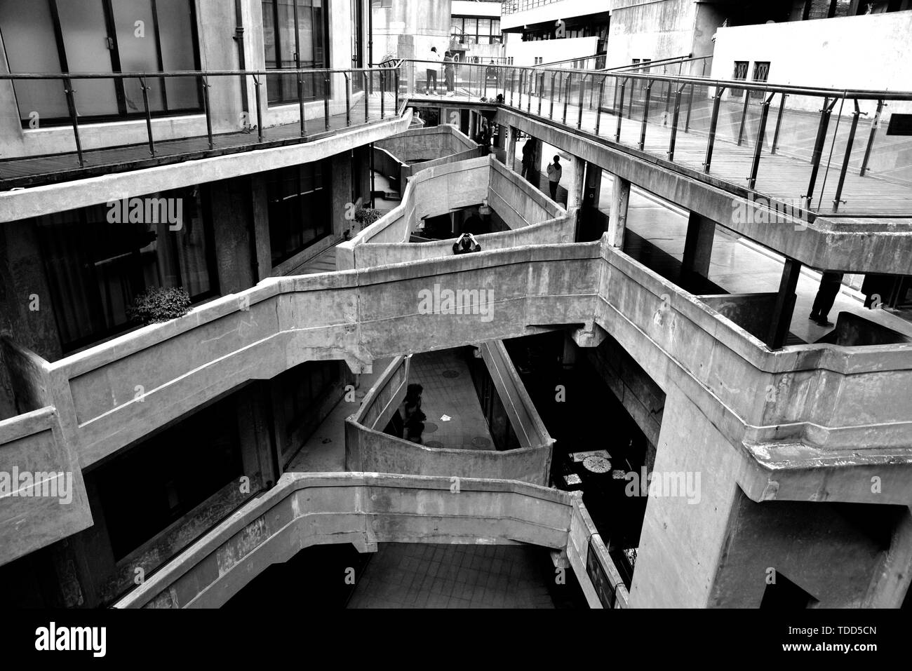 In bianco e nero ad alto profilo di fiori Foto Stock