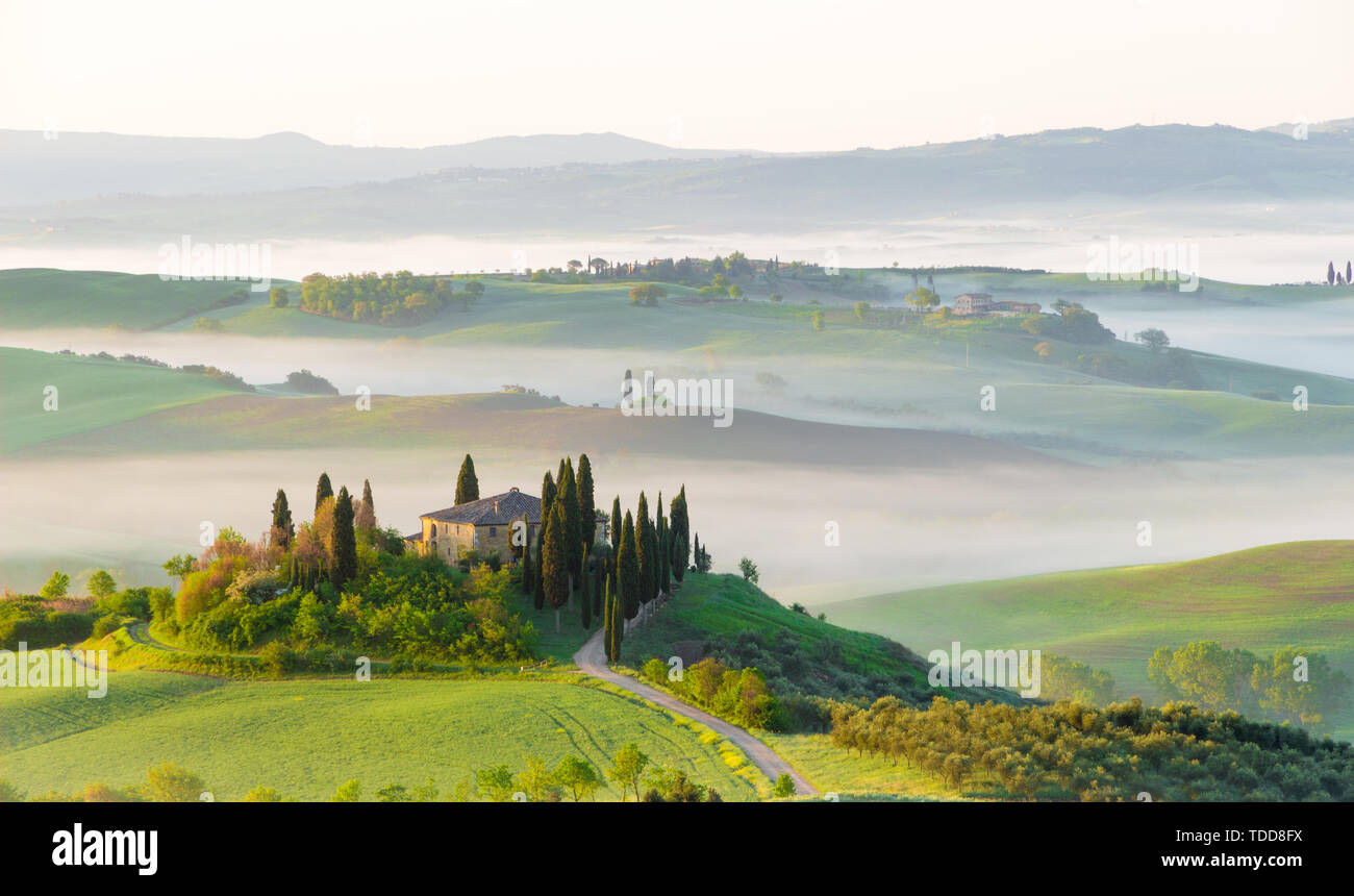 Siena, Italia - 02 Maggio, 2019: un paesaggio iconico in Val d'Orcia, Toscana, in primavera a sunrise. Foto Stock