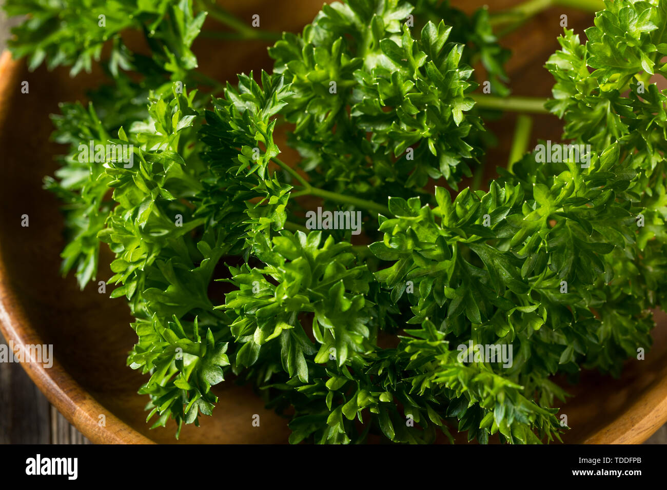 Materie organiche verde prezzemolo riccio in un grappolo Foto Stock