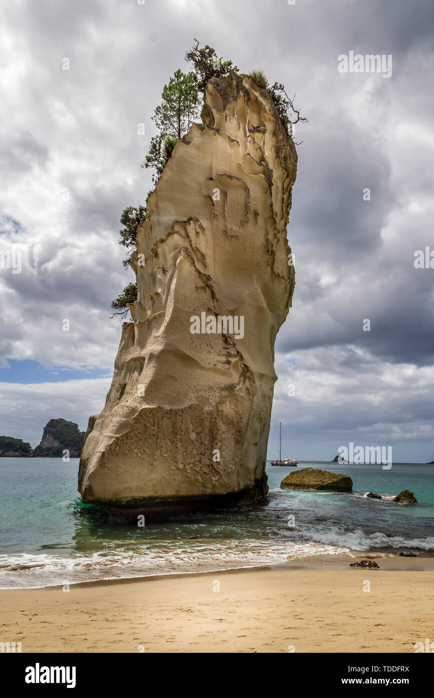 Il 'Te Hoho' rock da Cove della cattedrale, Penisola di Coromandel, Nuova Zelanda il 25 febbraio 2012 Foto Stock