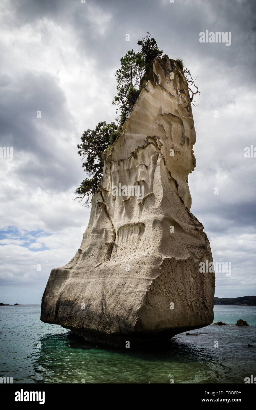 Il 'Te Hoho' rock da Cove della cattedrale, Penisola di Coromandel, Nuova Zelanda il 25 febbraio 2012 Foto Stock