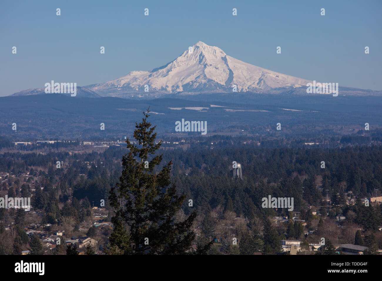 Mt.il cofano, il cofano neve montagna, Portland, Stati Uniti d'America Foto Stock