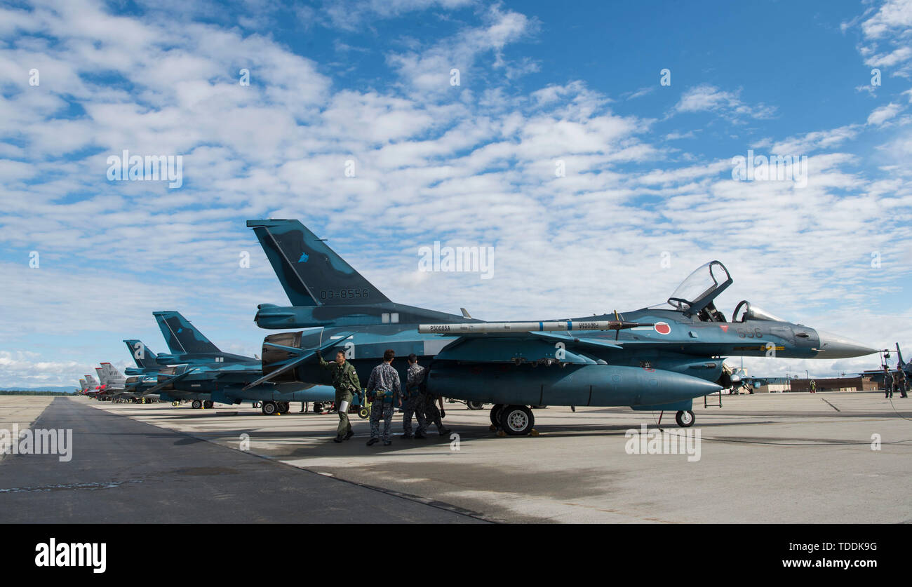 Japan Air Forze di autodifesa membri eseguire la pre-controlli di volo su una F-2 aerei durante il RED FLAG-Alaska 19-2 a Eielson Air Force Base in Alaska, 11 giugno 2019. RF-Un è un annuale U.S. Pacific Air Forces field training esercizio per gli Stati Uniti e le forze internazionali per migliorare la lotta contro la disponibilità di gruppi di partecipanti. (U.S. Air Force foto di Senior Airman Kristen Heller) Foto Stock