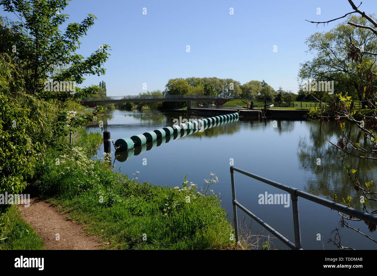 Vista sul fiume Ouse, alla grande Barford, Bedfordshire Foto Stock