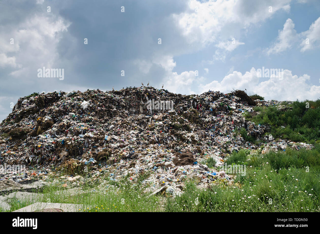 Concetto di inquinamento. Cumulo di rifiuti in discarica o in discarica Foto Stock