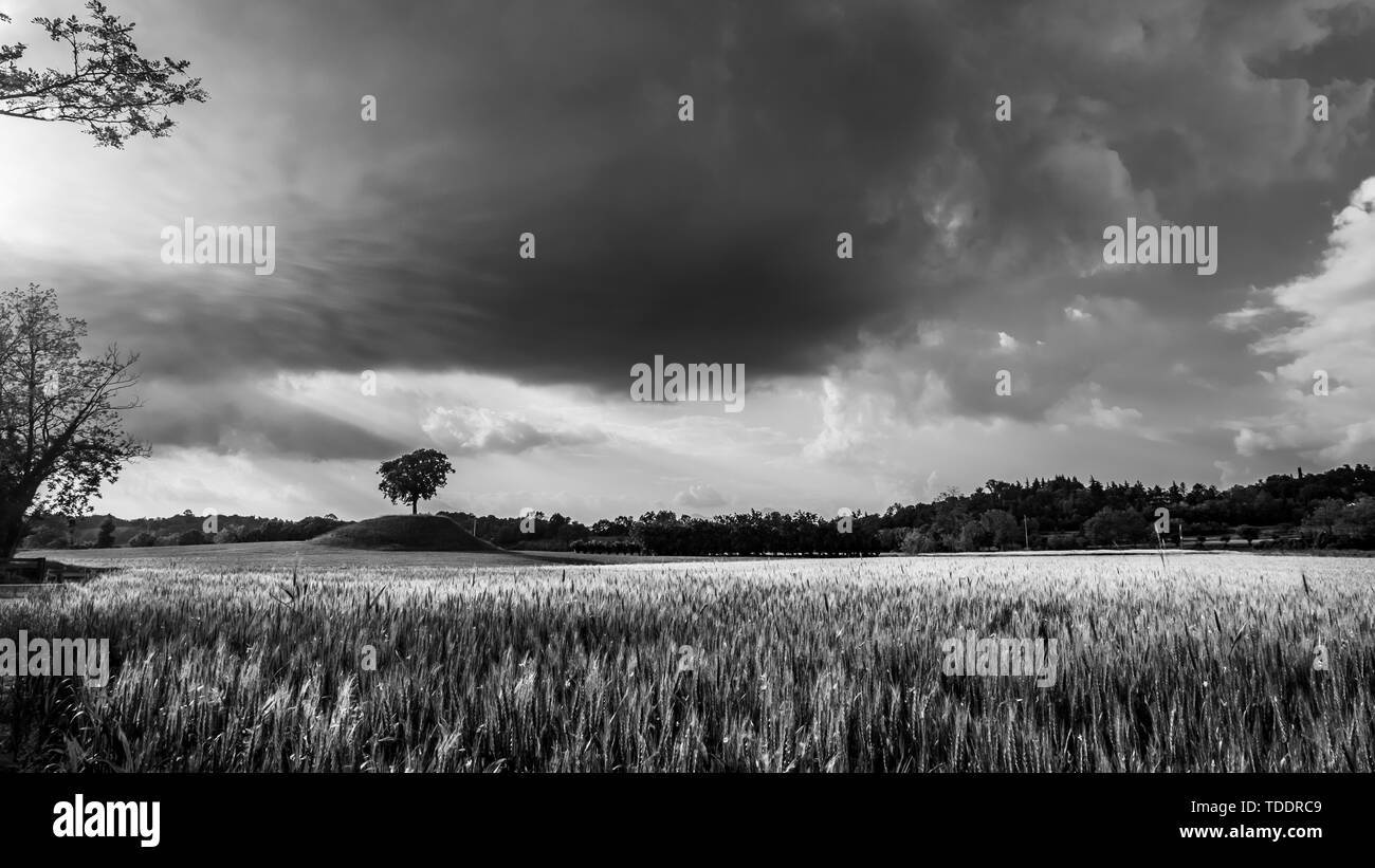 Campi del Friuli Venezia Giulia in una burrascosa giornata di primavera Foto Stock
