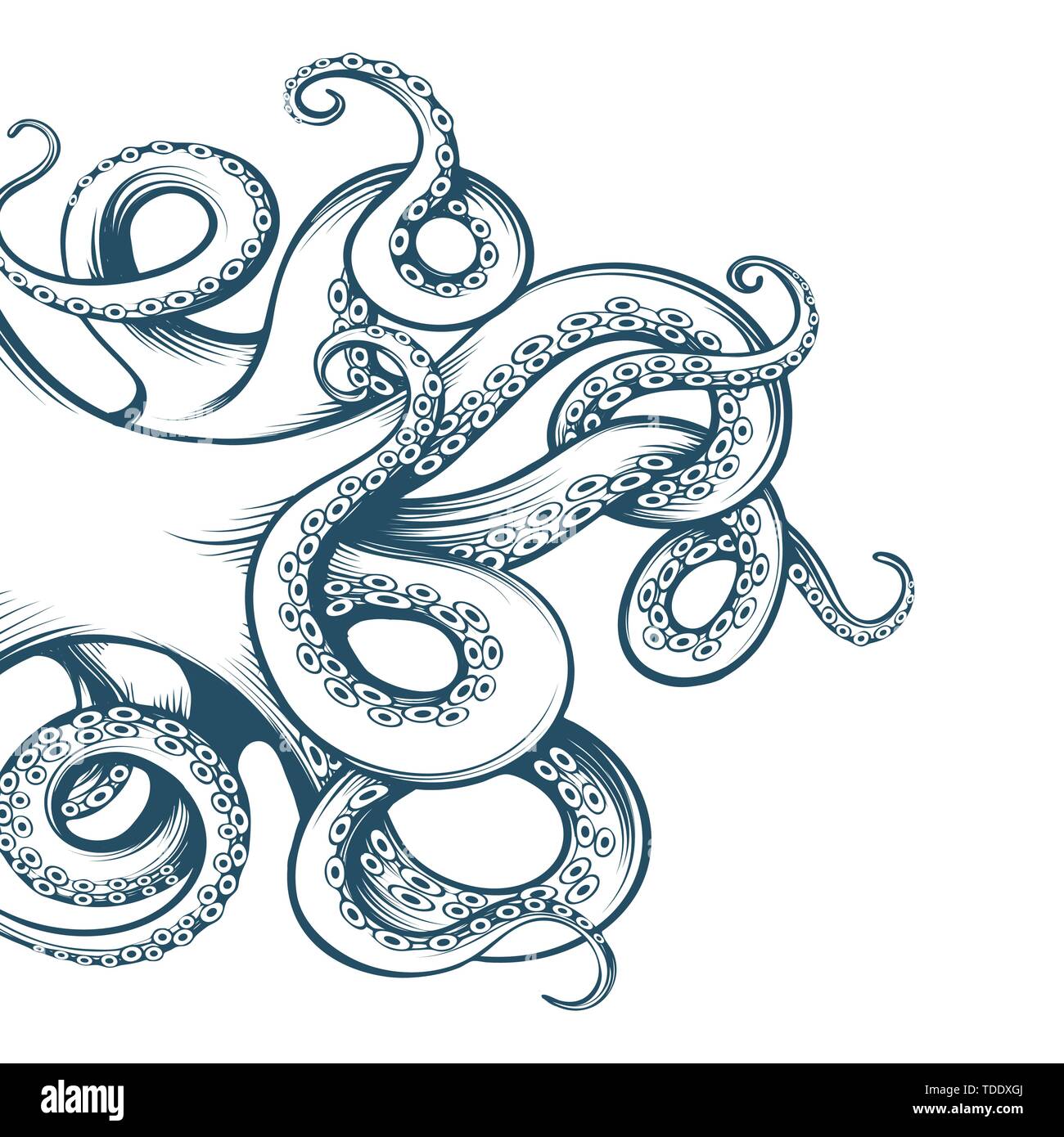 Disegnata a mano di tentacoli di polpo disegnati in stile di incisione isolati su sfondo bianco. Illustrazione Vettoriale Illustrazione Vettoriale