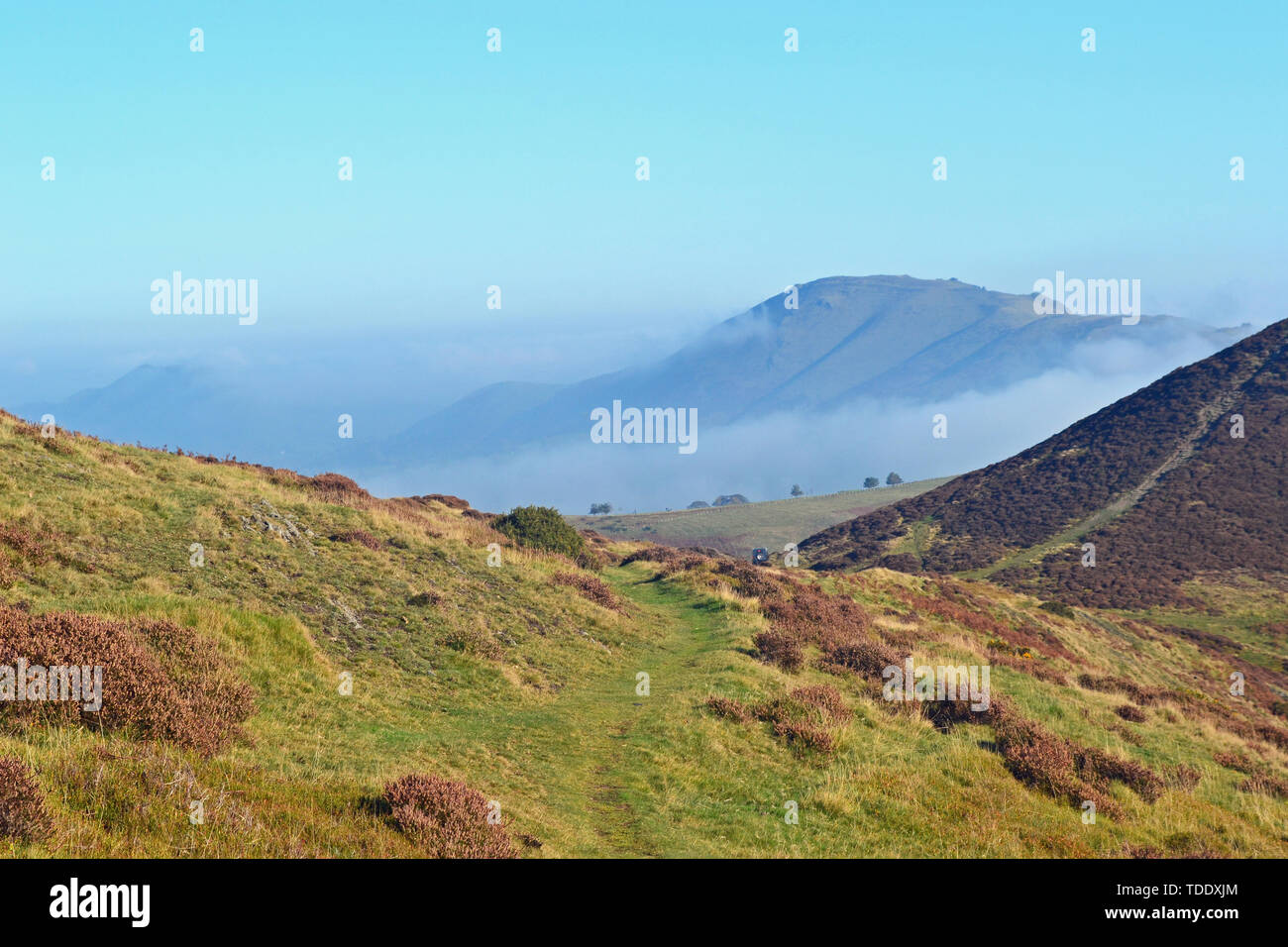 Vista dalla lunga Mynd in Shropshire Hills, UK, con picchi sopra le nuvole. Foto Stock