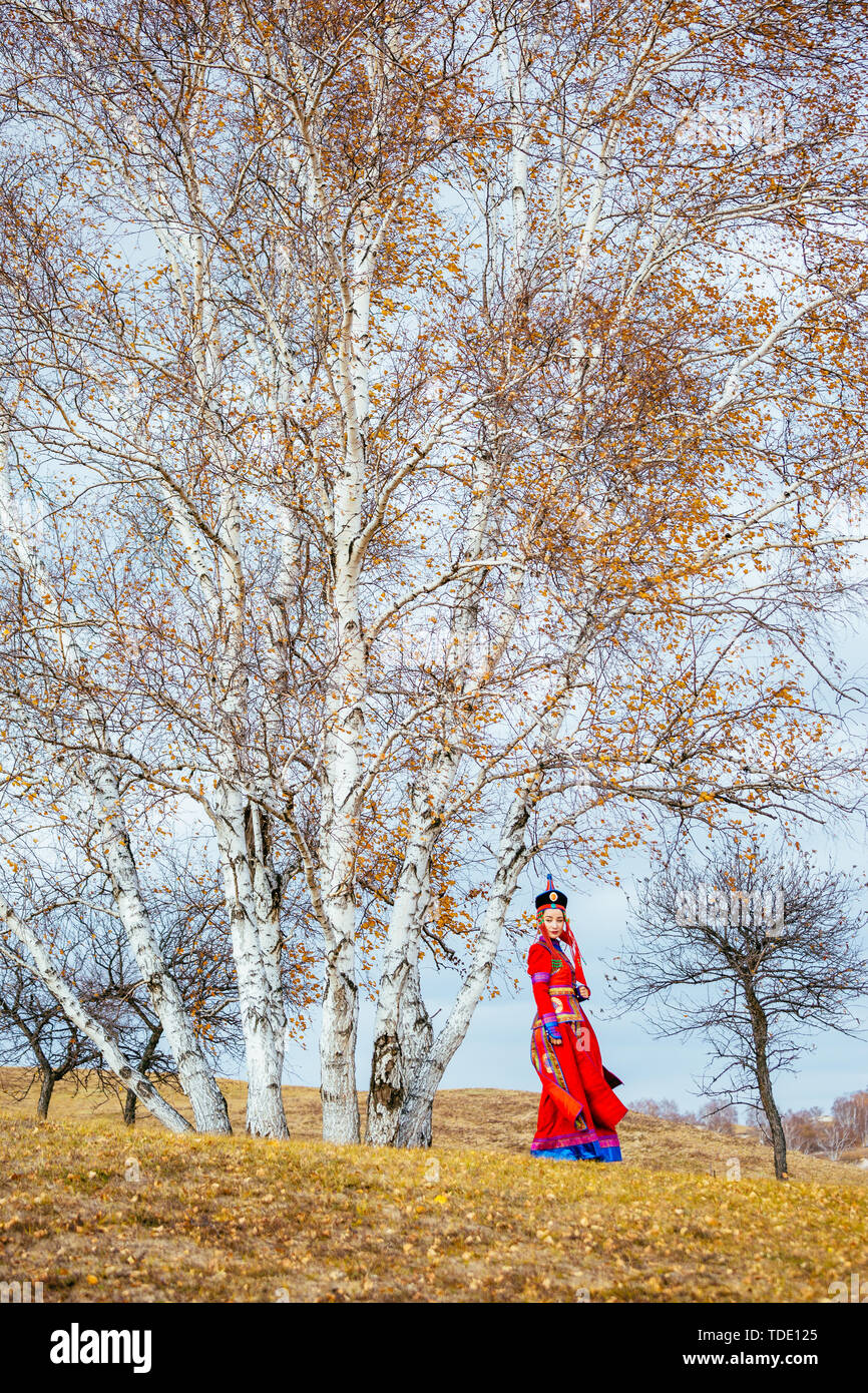 Autunno dorato bosco di betulle, ragazza mongola Foto Stock