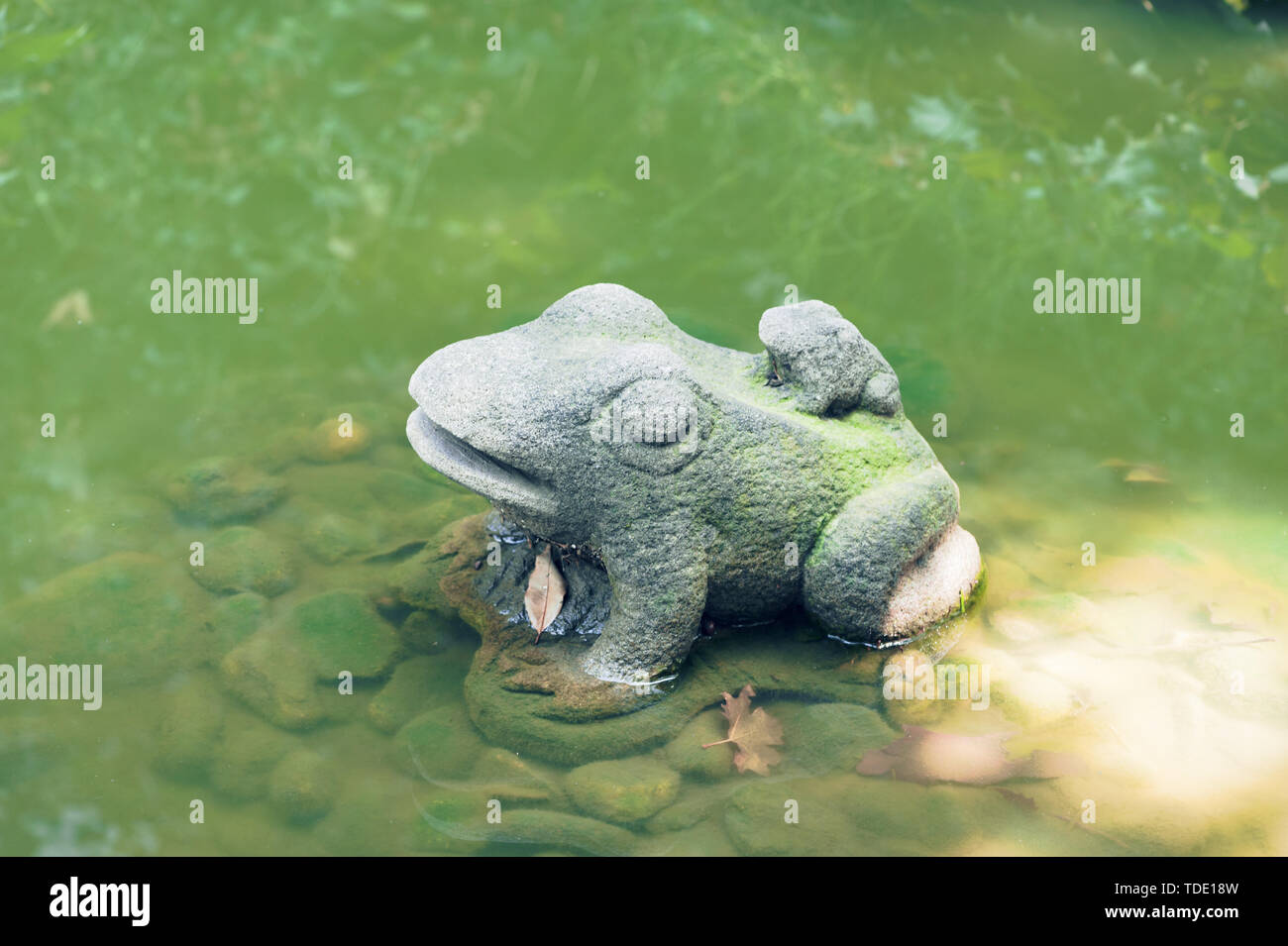 Una scultura di rana nella piscina della Piccola Pagoda in Xi'an Foto Stock