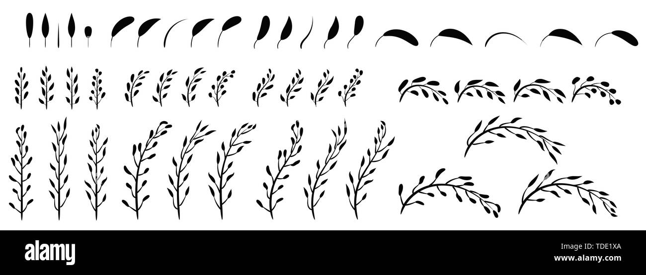 Impostare Collezione di solido nero impianti isolati, naturale foglie, rami. Bellezza decorativa elementi botanici per la progettazione. Illustrazione Vettoriale