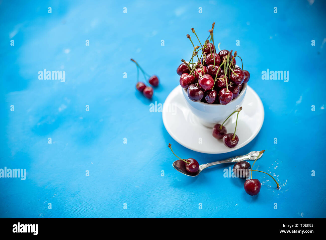 La composizione creativa fresca di ciliegia matura in una coppa wite con copia spazio isolato su sfondo blu in stile minimale. Concetto di divertimento estivo e sano Foto Stock