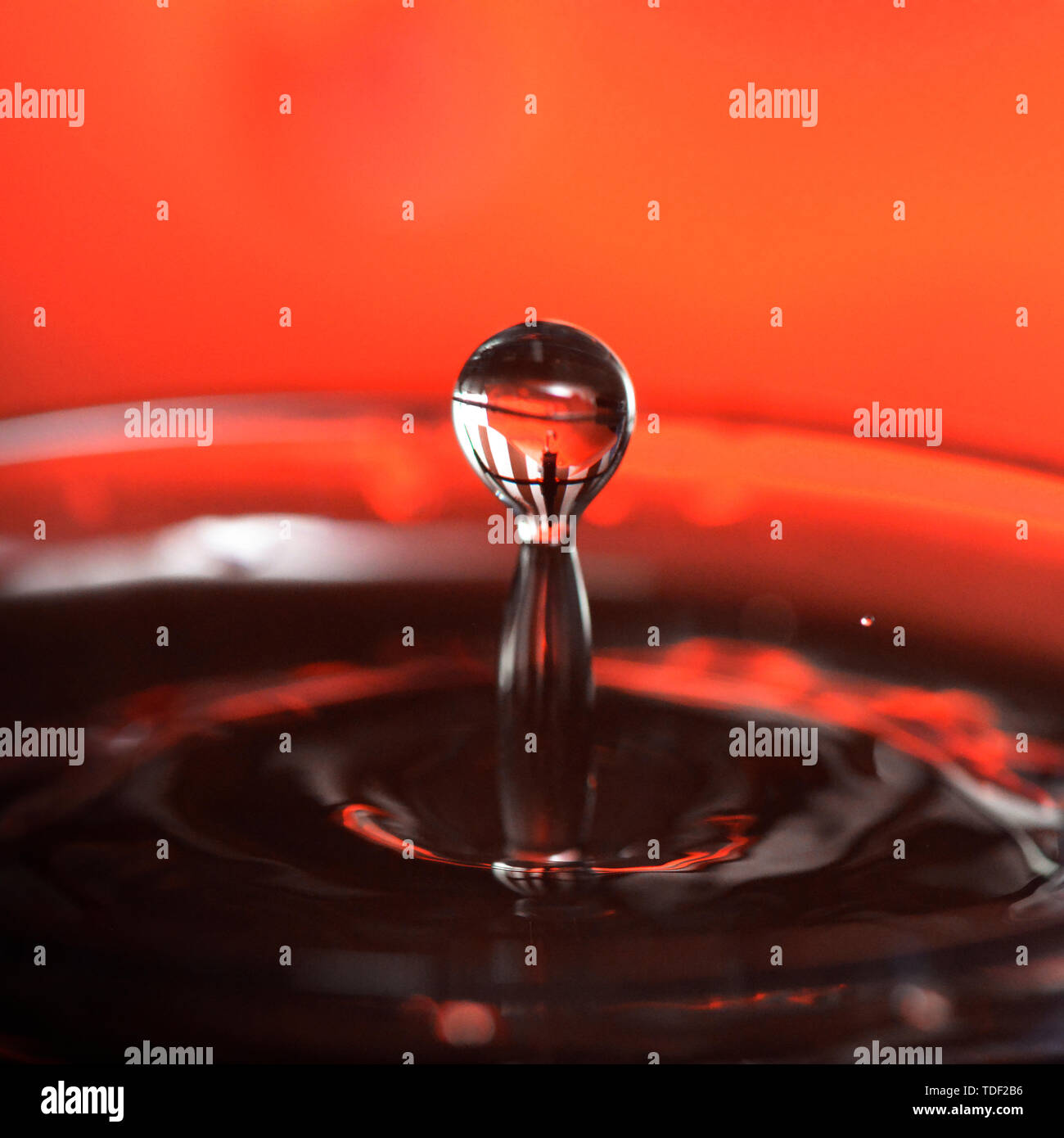 Goccioline di acqua Foto Stock