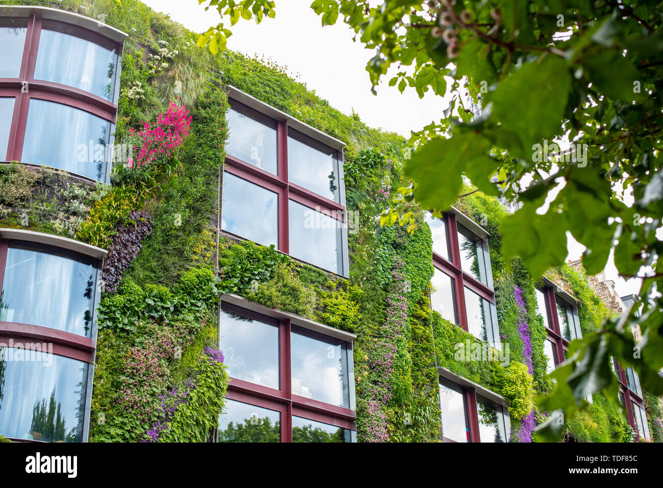 Green House. L'edificio è decorata con piante e fiori. Rispettosi dell'ambiente posto per vivere. Greenpeace Paradise Foto Stock