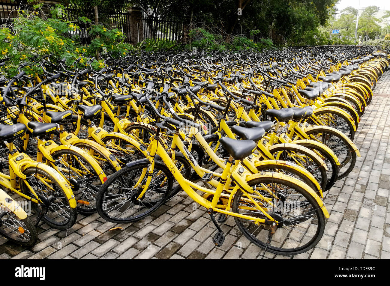 Condividere la gioia e la preoccupazione di biciclette. Biciclette condivise sono originariamente un comodo strumento per agevolare la corsa delle persone sul mercato, ma a causa della influenza di una varietà di fattori, andando per le strade per vedere sparsi, condiviso casuale biciclette, è un po' una sensazione di catastrofe. Foto Stock