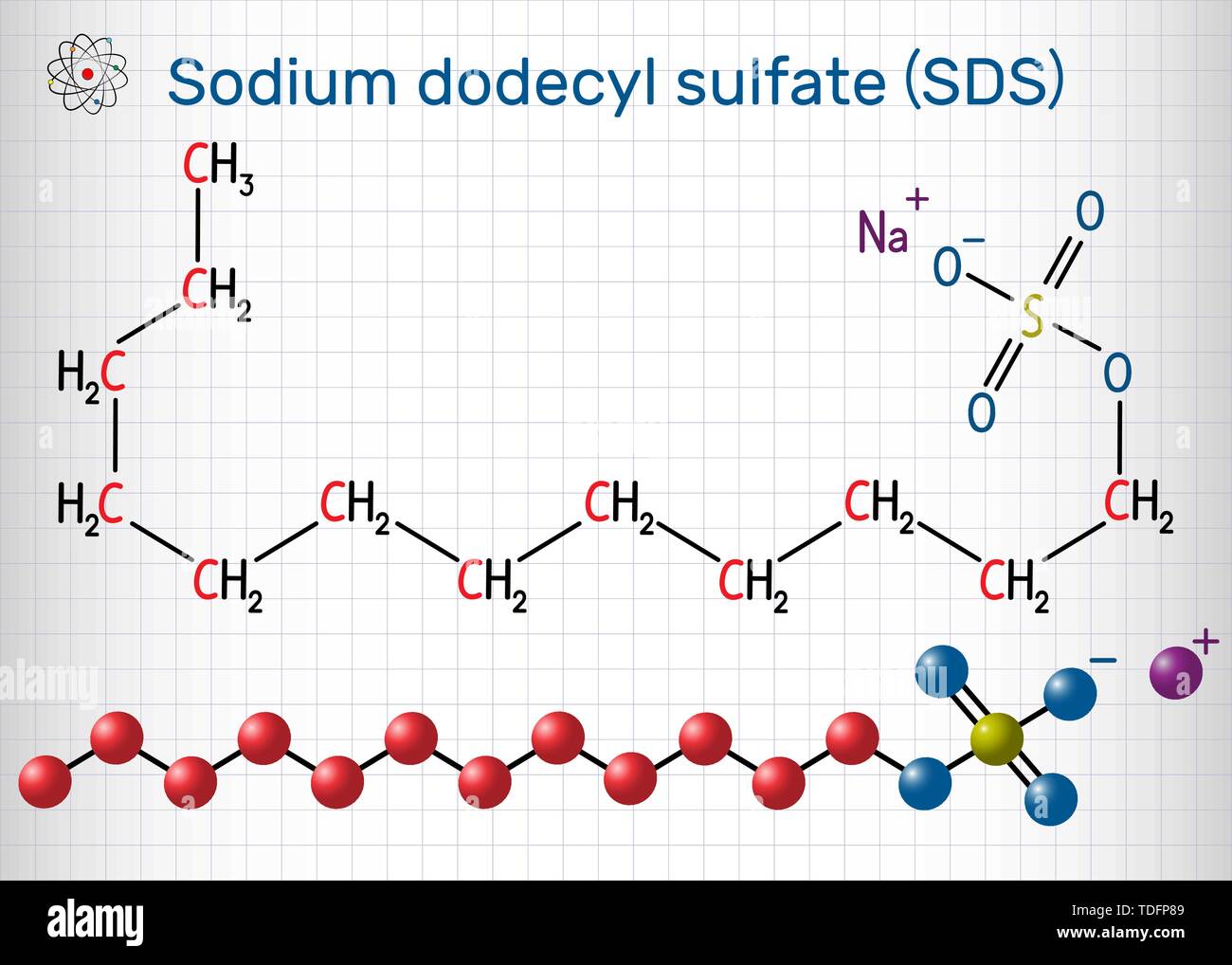 Il sodio dodecil solfato SDS , sodio lauril solfato molecola SLS. Si tratta di un tensioattivo anionico utilizzato nelle operazioni di pulizia e igiene. Foglio di carta in Illustrazione Vettoriale