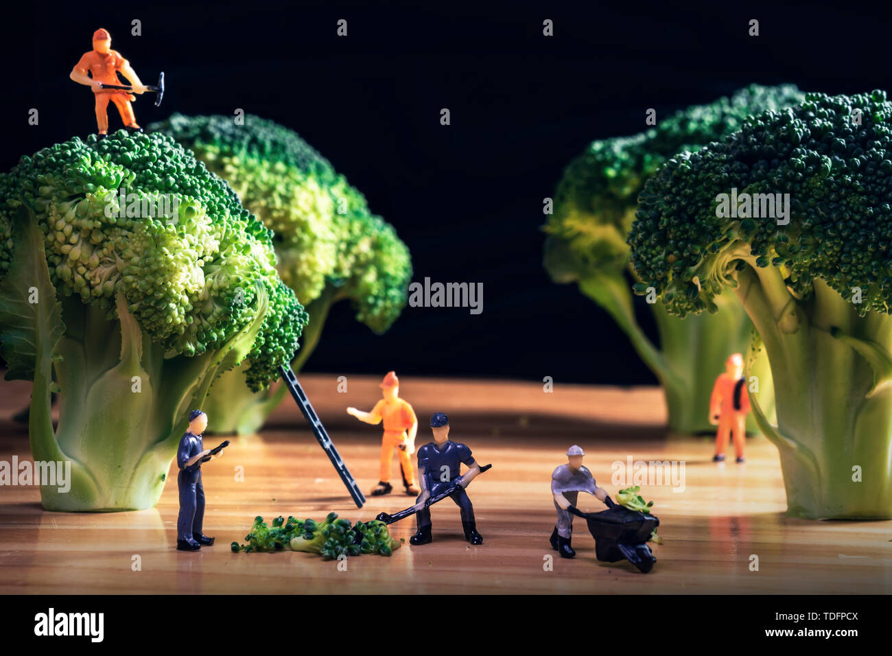 Vita micro Foto Stock