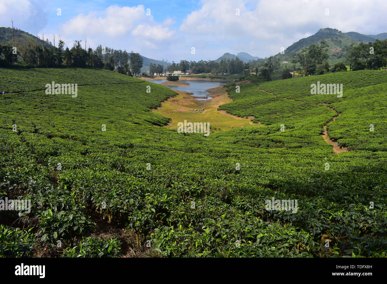 Fiume Meghamalai e alte montagne ondulate Foto Stock