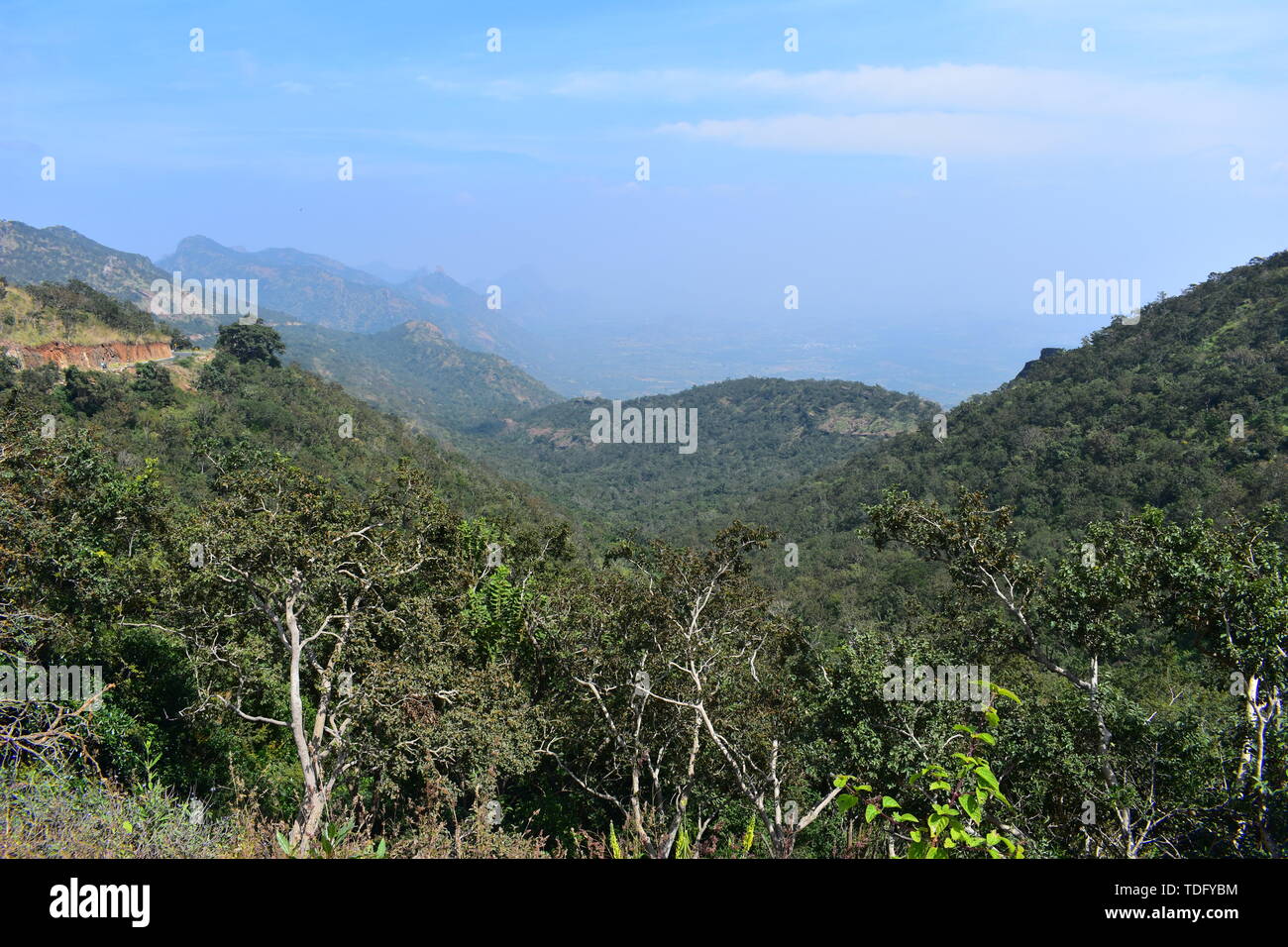 Vista della Valle Cumbam da Meghamalai colline in Tamil Nadu Foto Stock