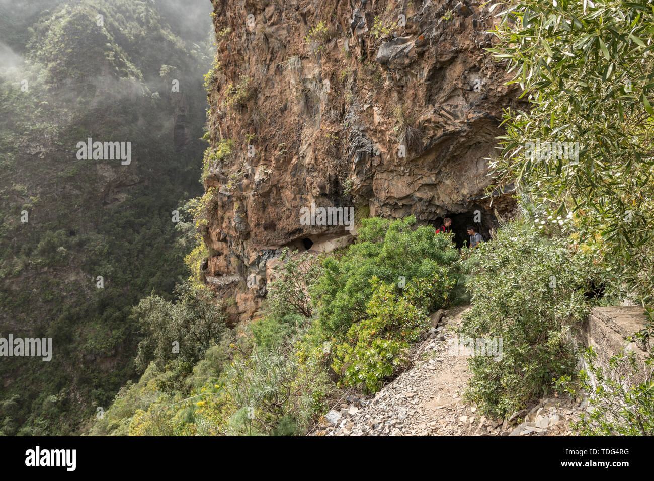 Un vecchio acquedotto ora utilizzato come un'avventura sentiero escursionistico Guimar valley. Il sentiero nella nebbia attraverso il misterioso montagne e grotte. Tenerife, Spagna Foto Stock