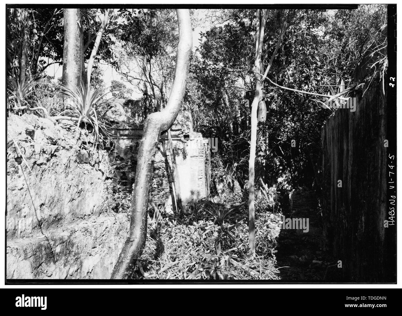 NORTHEAST bastione dal sud. Nord cortina muraria a sinistra e resti di struttura nel centro di Fort, visto nell angolo in alto a sinistra. - Frederiks Fort, Fortberg Hill, Coral Bay, San Giovanni, VI; Gjessing, F C, storico; Boucher, Jack e, fotografo Foto Stock