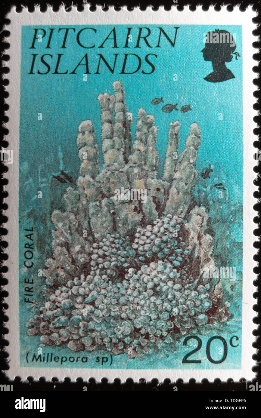 Una macro immagine di un commemorative Isole Pitcairn 20c 1994 coralli timbro Foto Stock