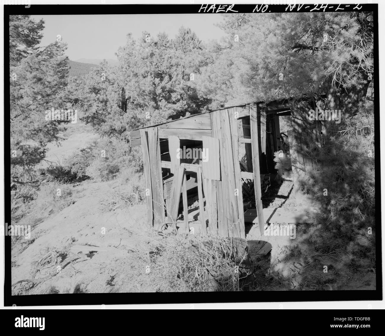Nord-est Vista di angolo sud-ovest, ovest e sud - Juniata complesso del mulino, miniera e Camp Residence, 22,5 miglia a sud-ovest di Hawthorne, tra il cratere di Aurora e Aurora picco, Hawthorne, minerale County, NV Foto Stock
