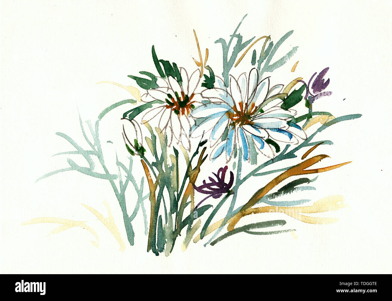 Schizzo di linea elegante elegante dipinte a mano e acquerello pittura cinese Foto Stock