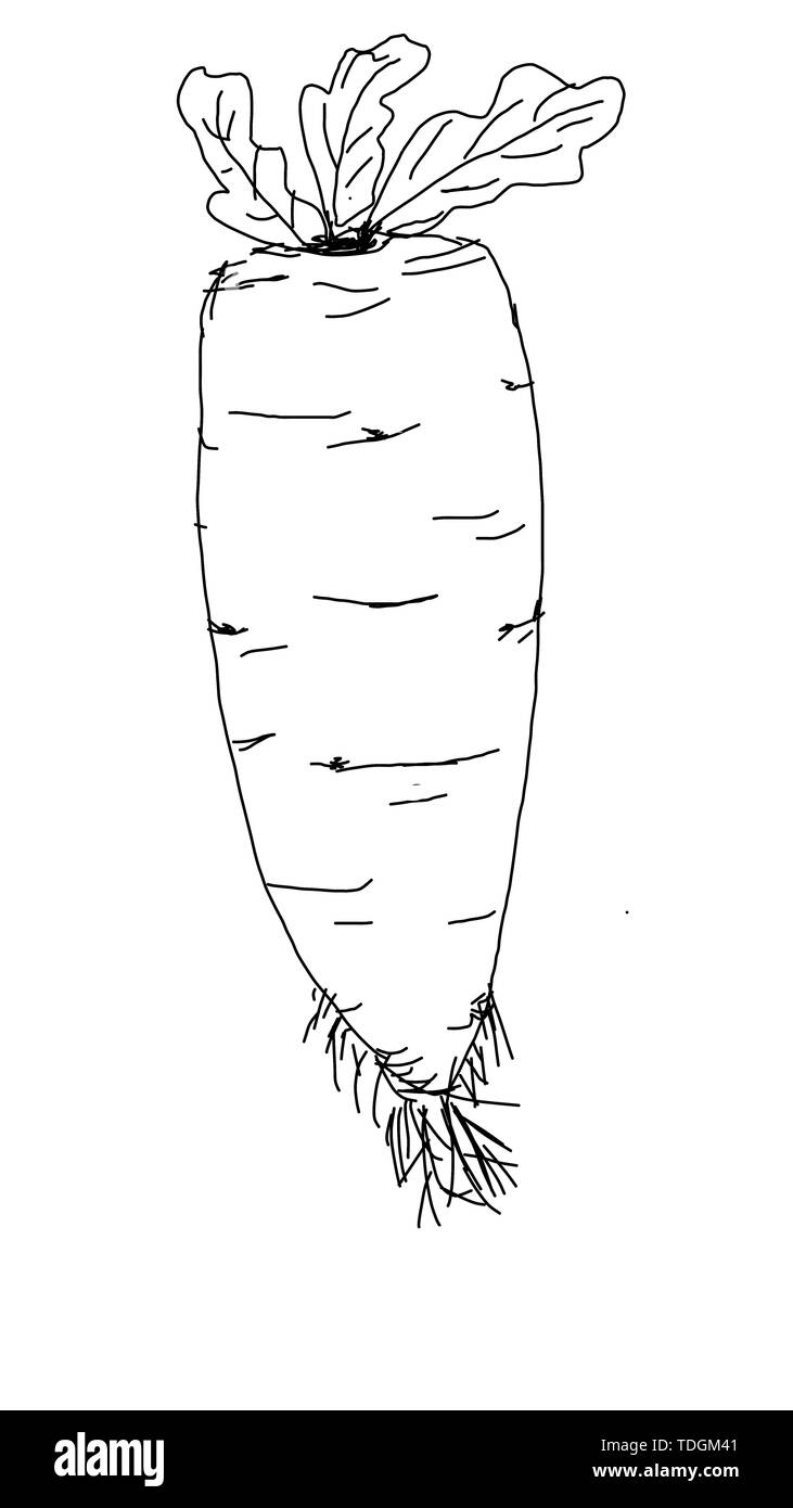 Disegnare l'immagine. Foto Stock