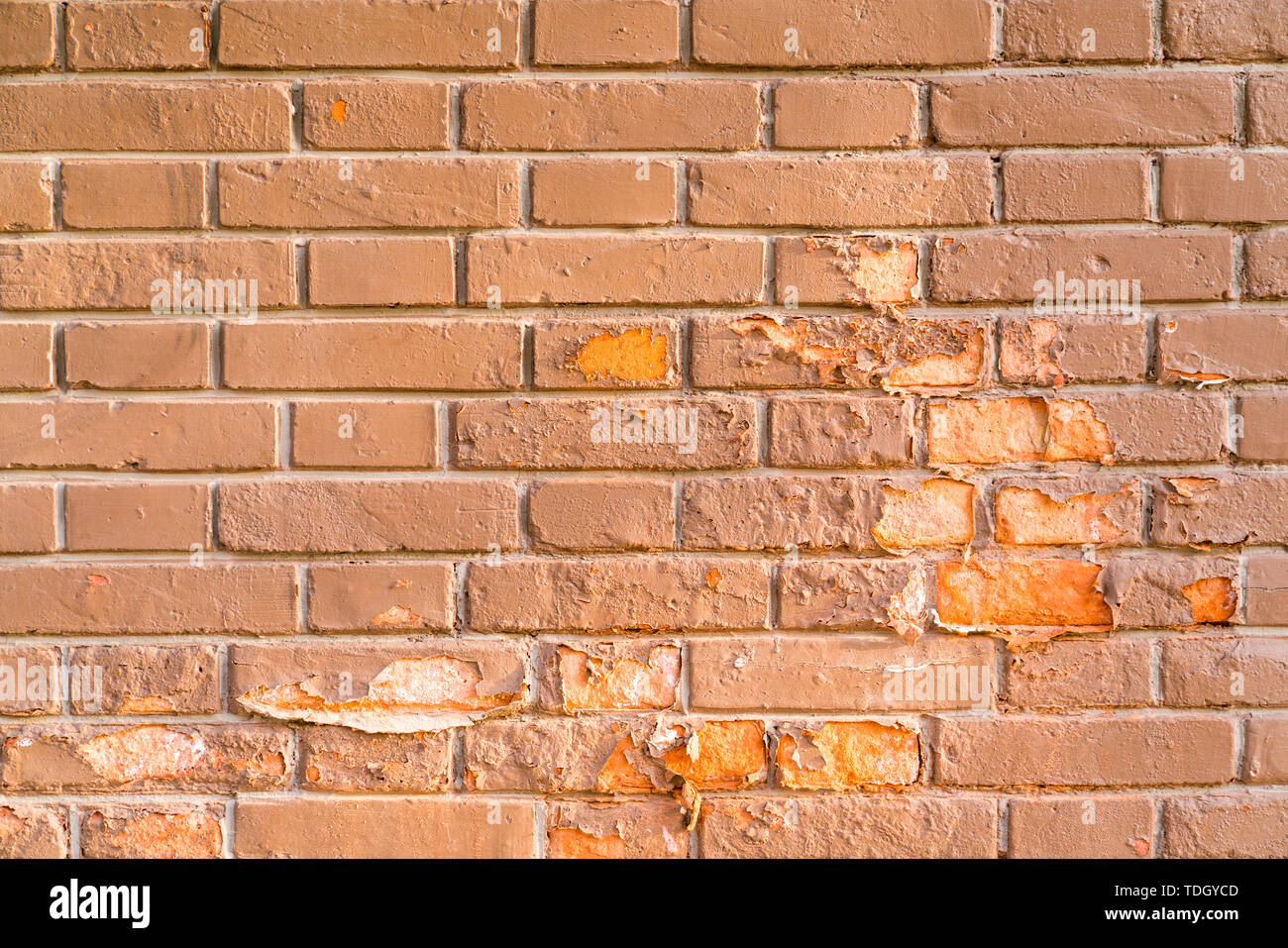 Un intero mattone rosso chiazzato. Foto Stock