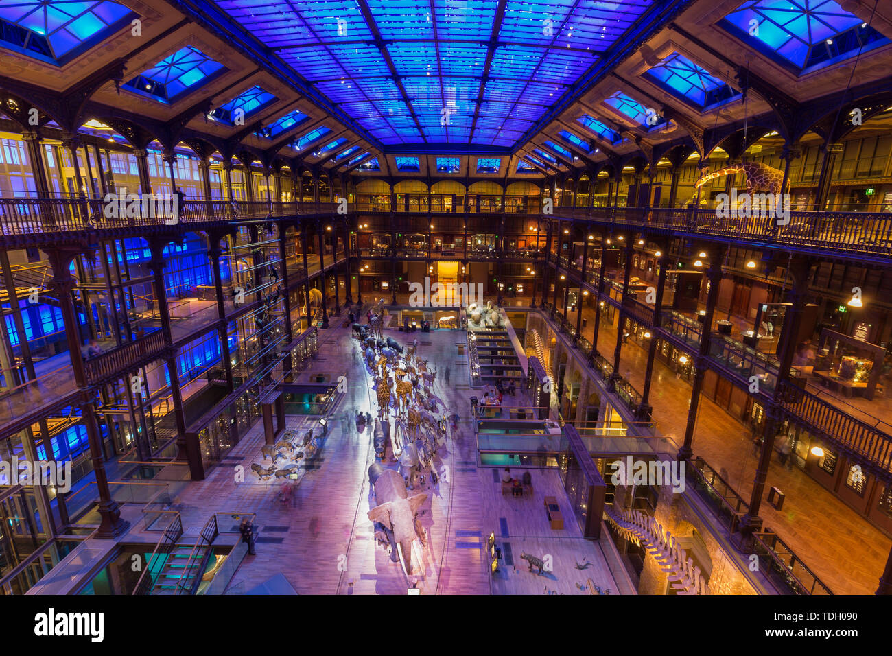 Il Padiglione del Museo Nazionale di Storia Naturale di Parigi Foto Stock