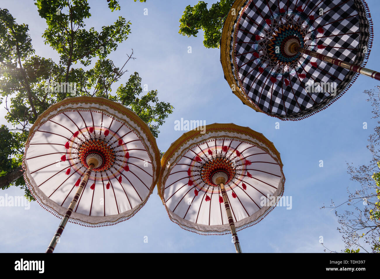 Gruppo di coloratissimi ombrelli Balinese alla cerimonia di celebrazione nel tempio indù. Design tradizionale, bianco e motivo a scacchi sotto l'albero Foto Stock