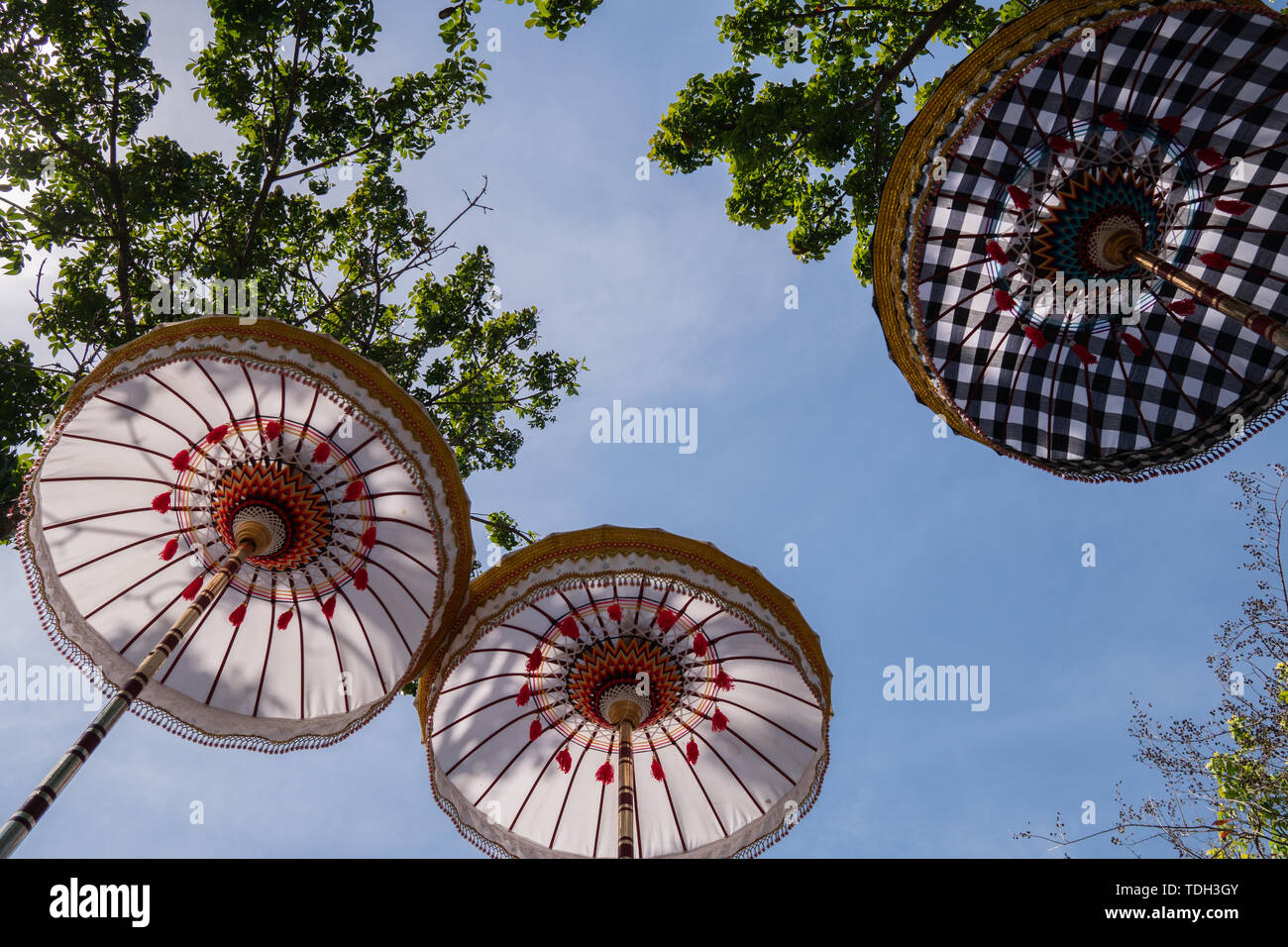 Gruppo di coloratissimi ombrelli Balinese alla cerimonia di celebrazione nel tempio indù. Design tradizionale, bianco e motivo a scacchi sotto l'albero Foto Stock