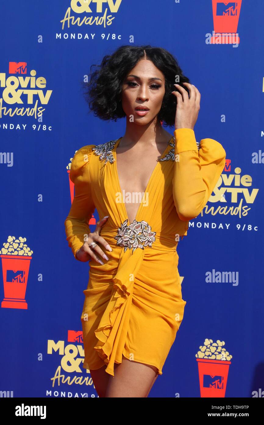 Los Angeles, CA, Stati Uniti d'America. Il 15 giugno, 2019. LOS ANGELES - Jun 15: MJ Rodriguez al 2019 MTV Movie & TV premi al Barker appendiabiti su Giugno 15, 2019 a Santa Monica, CA presso gli arrivi per 2019 MTV Movie e TV Awards, Barker Hangar, Los Angeles, CA 15 Giugno 2019. Credito: Priscilla concedere/Everett raccolta/Alamy Live News Foto Stock