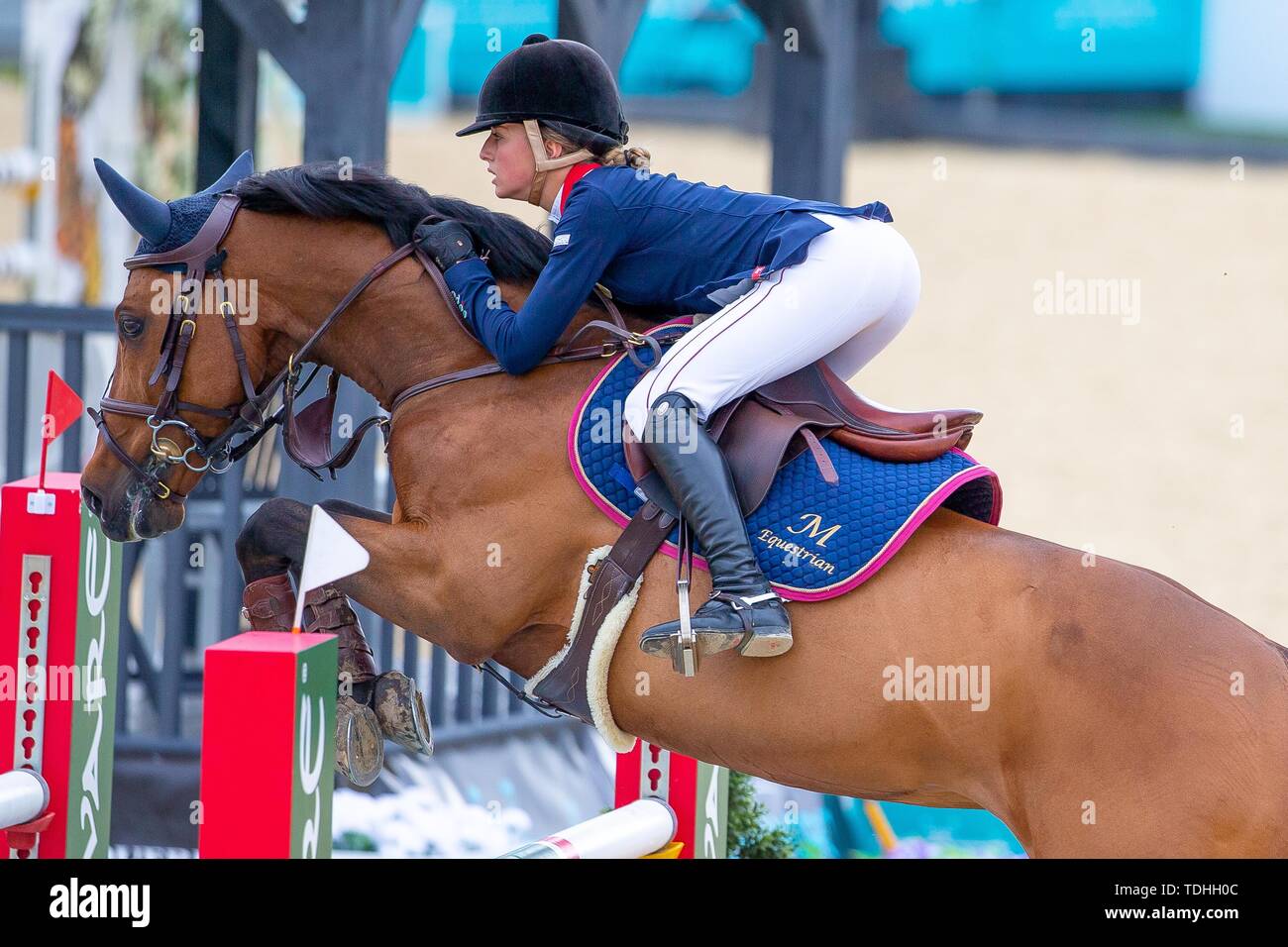 Tattenhall, Cheshire, Regno Unito. 16 Giugno, 2019. Vincitore. Claudia Moore Elando equitazione van de Roshoeve. GBR. Brown Shipley 148cm campionato. Scudiero Bolesworth International Horse Show. Tattenhall. Cheshire. Regno Unito. GBR. 16/06/2019. Credito: Sport In immagini/Alamy Live News Foto Stock