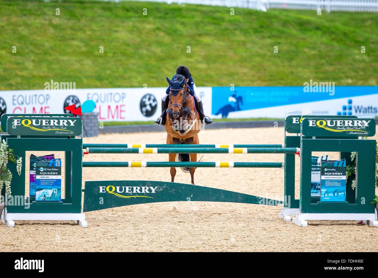 Tattenhall, Cheshire, Regno Unito. 16 Giugno, 2019. Vincitore. Claudia Moore Elando equitazione van de Roshoeve. GBR. Brown Shipley 148cm campionato. Scudiero Bolesworth International Horse Show. Tattenhall. Cheshire. Regno Unito. GBR. 16/06/2019. Credito: Sport In immagini/Alamy Live News Foto Stock