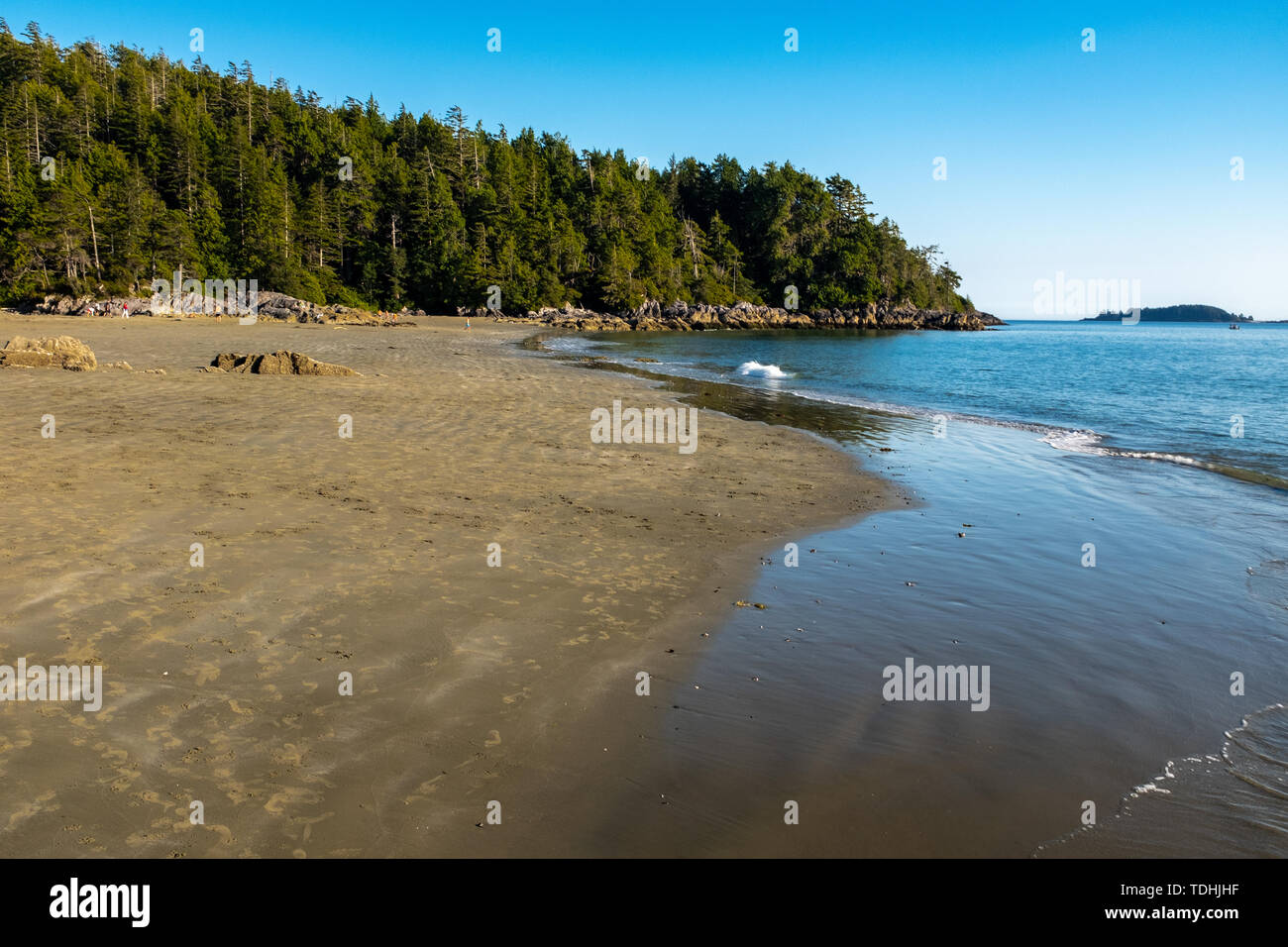 Lunga spiaggia Tofino, Isola di Vancouver, Canada, girato nel tardo pomeriggio con un luminoso cielo blu, poche persone in lontananza Foto Stock