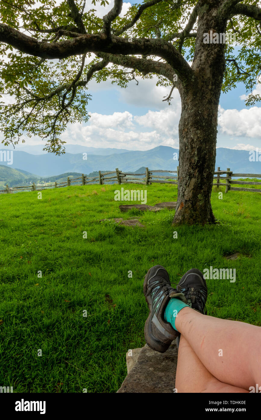 In appoggio al di sotto di grande albero sulla radura di montagna Foto Stock