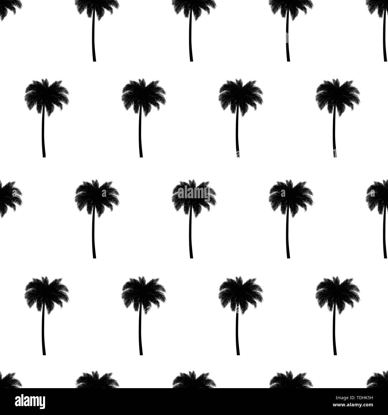 Palm tree seamless pattern in bianco e nero i colori. Illustrazione Vettoriale