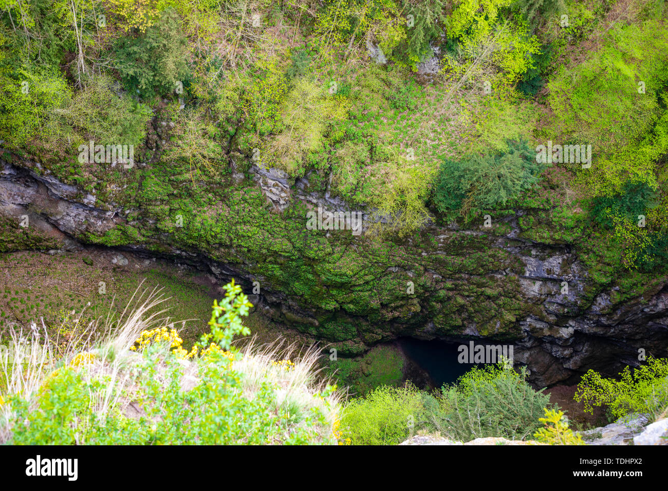 Abysso di Macocha con il lago, dolina nel Carso Moravo sistema di cave, Repubblica Ceca Foto Stock