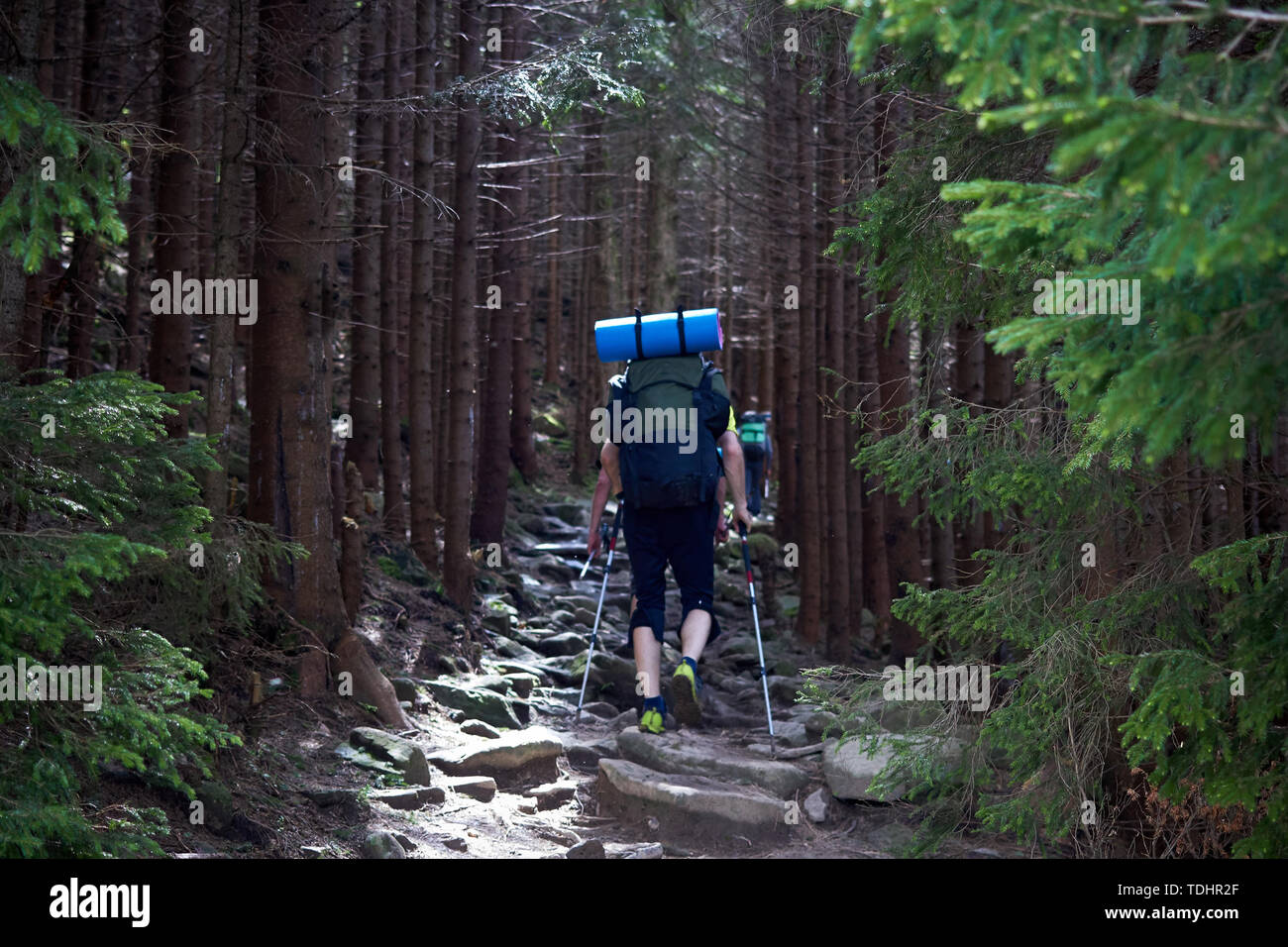 Vista posteriore dei turisti con zaini sono scalate da un sentiero roccioso in una foresta di montagna Foto Stock