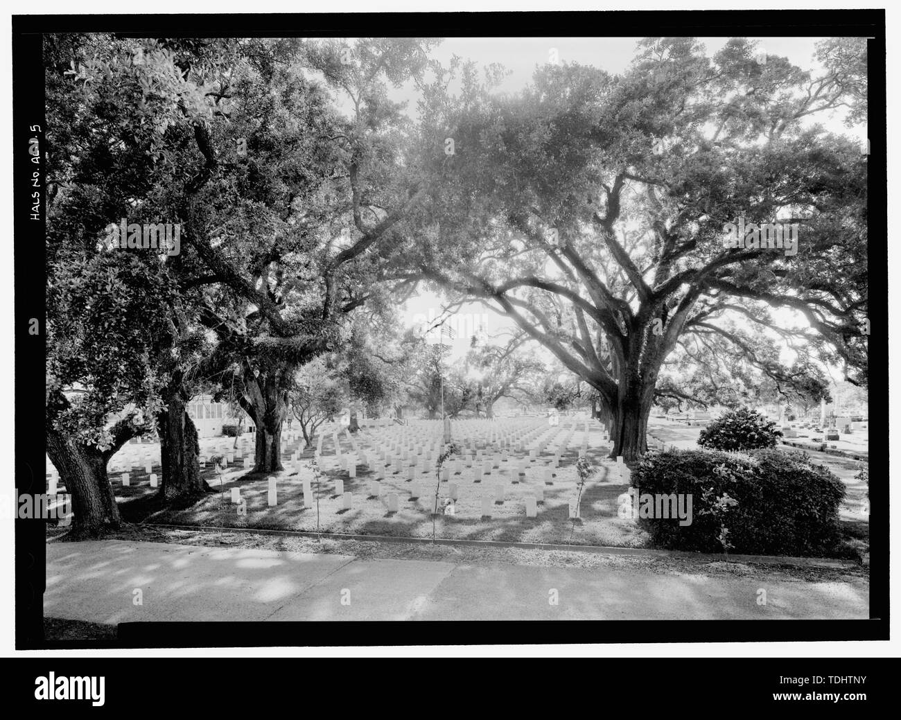 Vista generale del cimitero SEZIONE 1 da adiacente cimitero MAGNOLIA ATTRAVERSO OWENS STREET. Pennone in centro. Vista dell'Occidente. - Mobile Cimitero Nazionale, 1202 Virginia Street, Mobile, County, AL Foto Stock