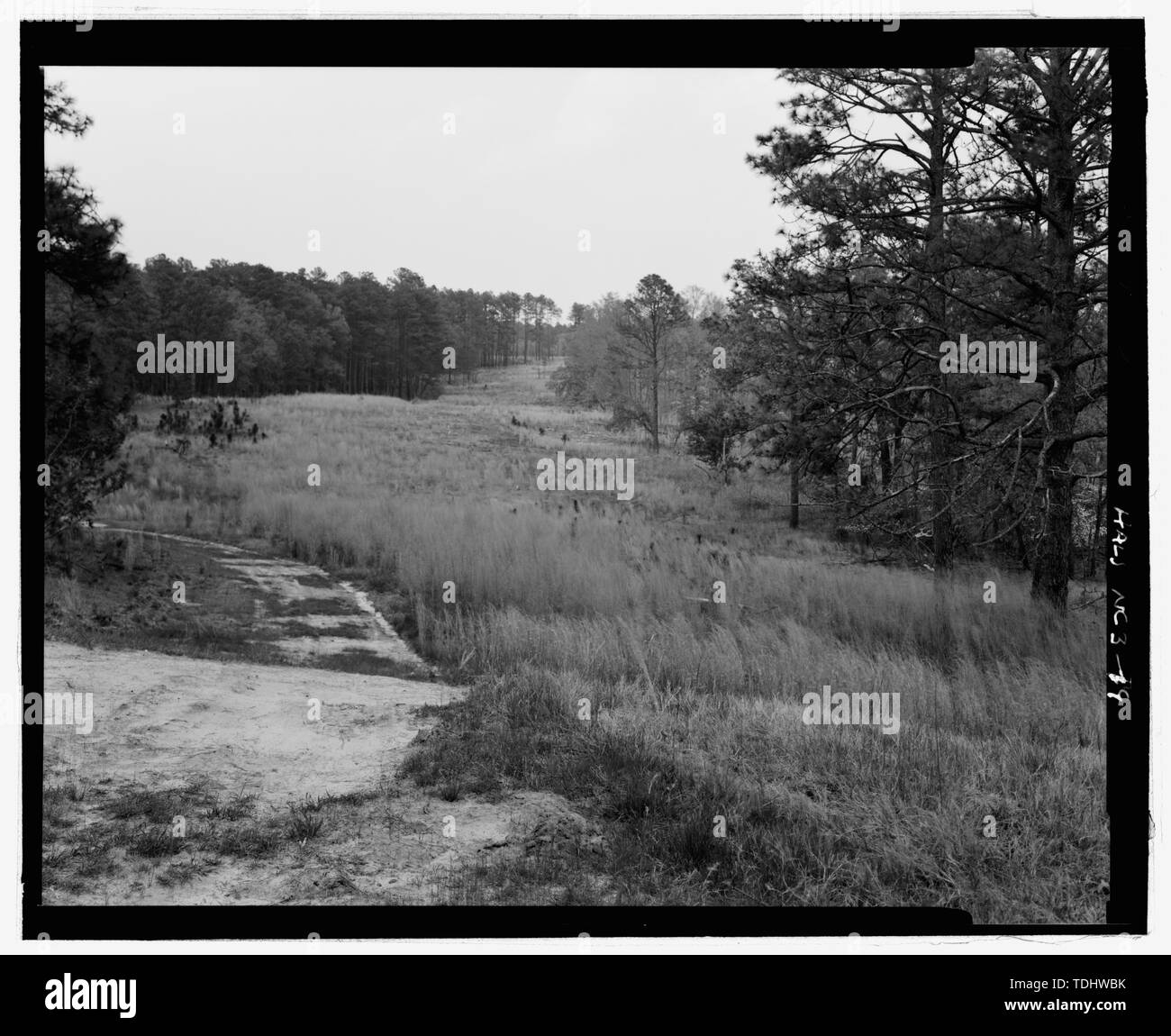 OVERHILLS CAMPO DA GOLF guardando a nord-est da spettatore SHELTER BACK UP FAIRWAY -1 - Overhills, Fort Bragg militare prenotazione, circa 15 miglia a NW di Fayetteville, Overhills, Harnet County, NC Foto Stock