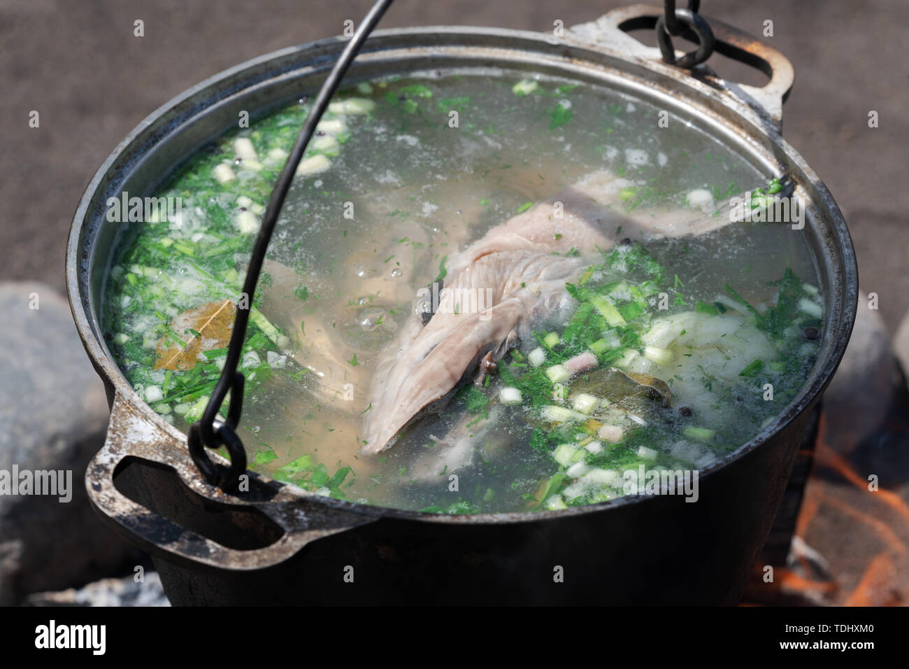 Delizioso rosso salmone pesce fresco cucinato zuppa in grandi bowler sul fuoco all'aperto. La cottura di cibo sul fuoco durante un picnic sulla soleggiata clima estivo. Foto Stock