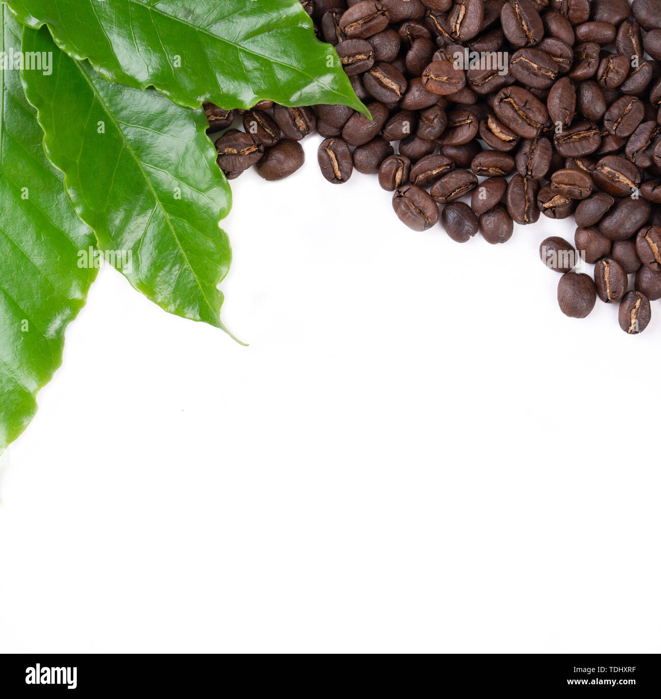 Caffè torrefatto bean con lasciare isolata su sfondo bianco Foto Stock